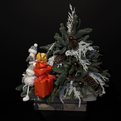 Композиция №765024