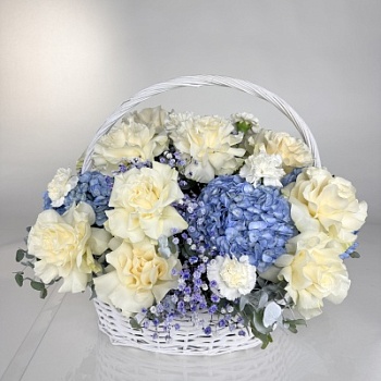 FullSizeRender - 2026-04-11T153847.641