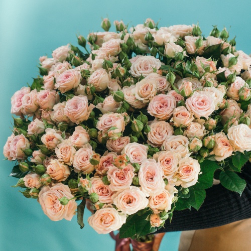 19 кустовых пионовидных нежно-розовых роз (Россия)