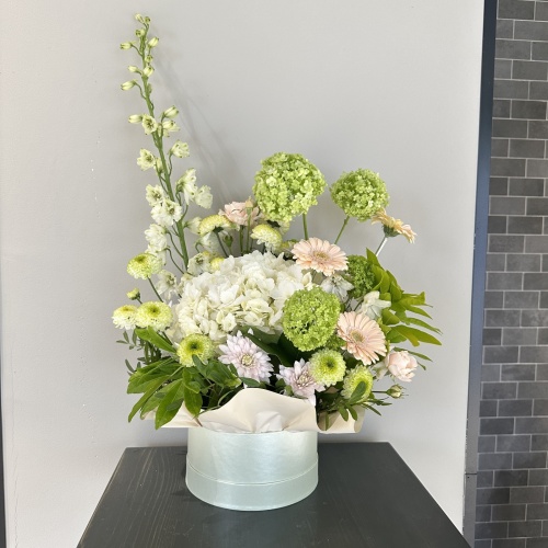 Композиция №733093