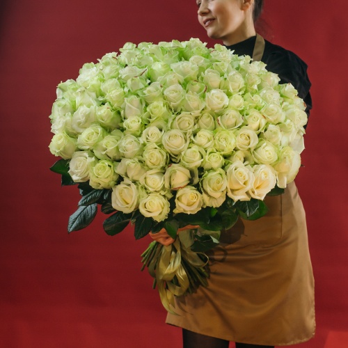 101 белая роза (Россия) 101 белая роза (Россия)