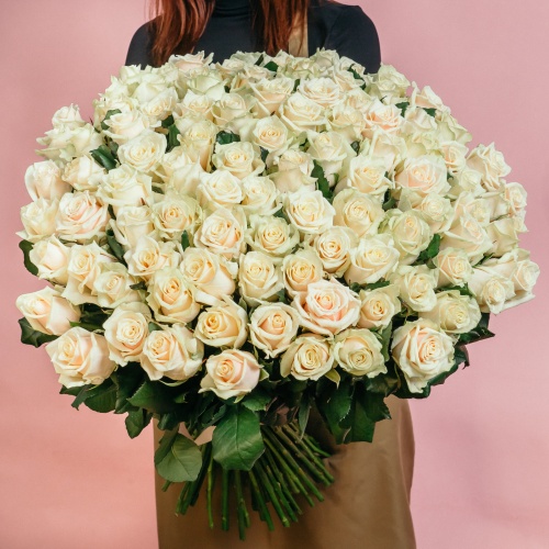 101 кремовая роза (Россия)