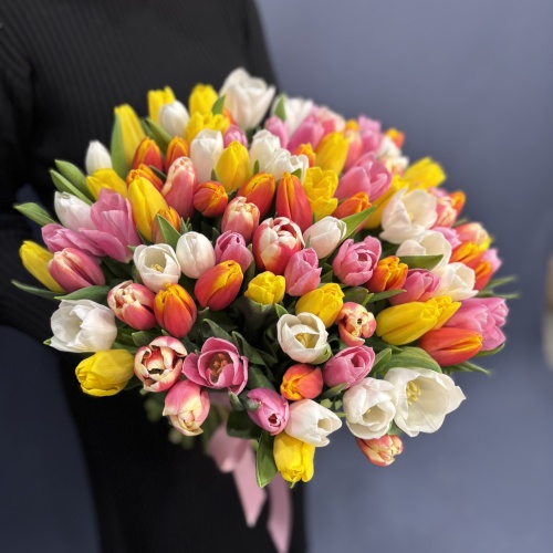 Букет из разноцветных тюльпанов (101 шт.)