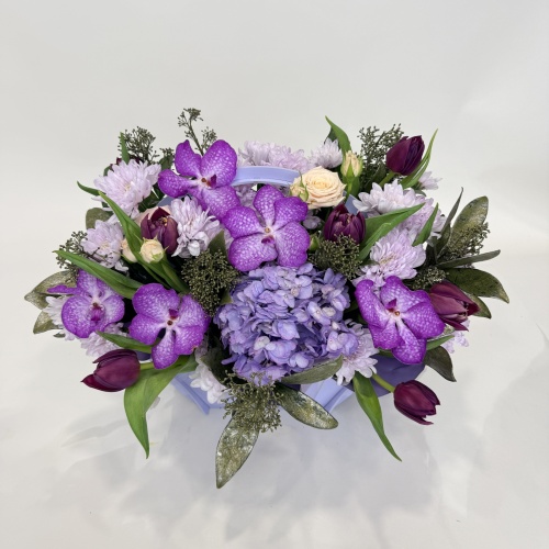 Композиция №755810