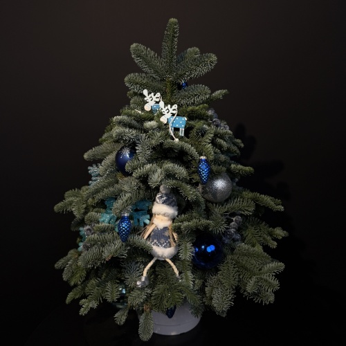 Композиция №764911