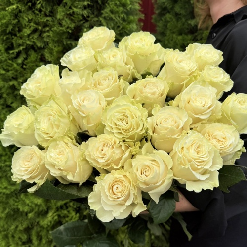 Роза Мондиаль 80 см (Эквадор)