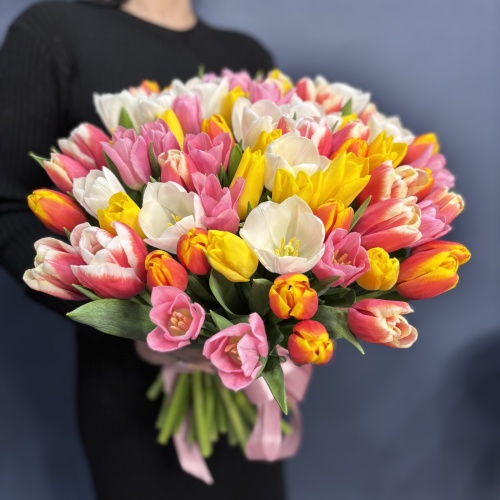 Букет из разноцветных тюльпанов (75 шт.)
