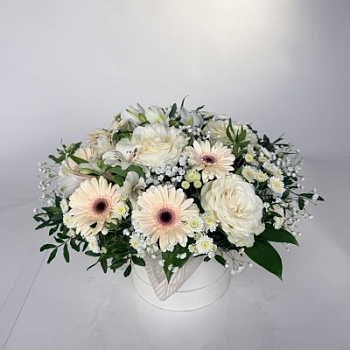 FullSizeRender (325)