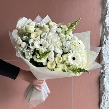 IMG_6645