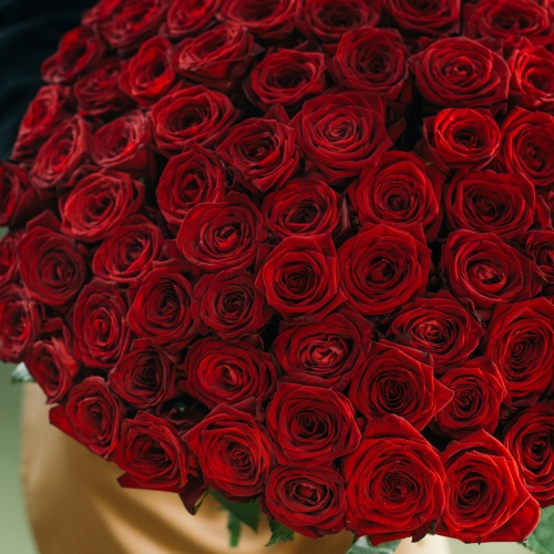 75 красных роз (Россия)