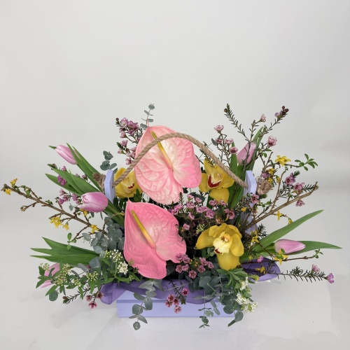 Композиция №774439