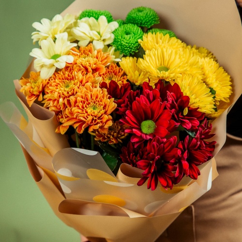 Букет из разноцветных хризантем (5 шт.) Букет из разноцветных хризантем (5 шт.)