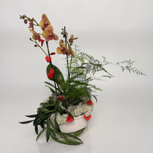 Композиция №769664