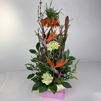 FullSizeRender - 2026-04-07T143638.200