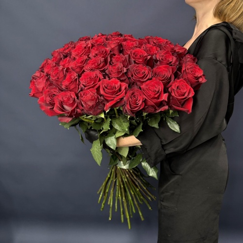 51 красная роза Эксплорер (Эквадор)