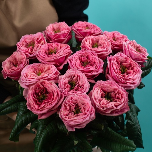 15 пионовидных розовых роз (Россия)