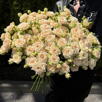 Изображение WhatsApp 2025-07-03 в 12.19.13_03952b35