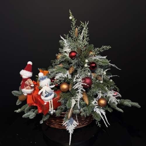 Корзина №769269