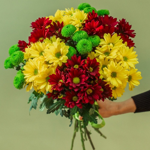 Букет из разноцветных хризантем (9 шт.)