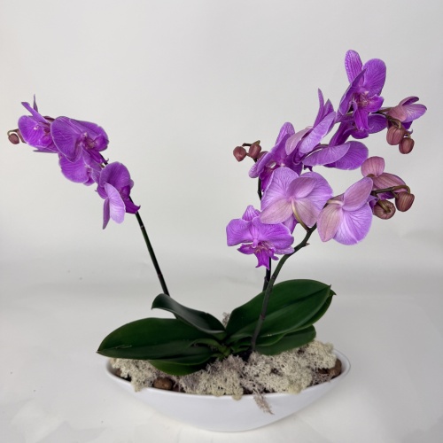 Букет №751096