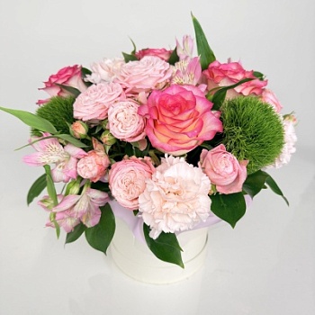 FullSizeRender (202)