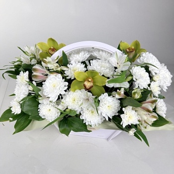 FullSizeRender - 2026-04-14T124940.950