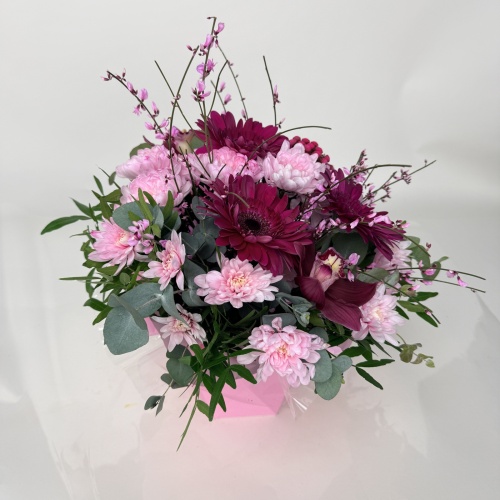 Композиция №792496