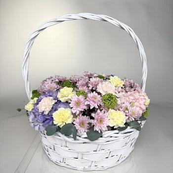 FullSizeRender (185)