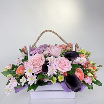 FullSizeRender - 2026-04-15T173443.634