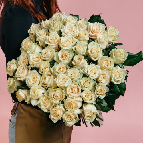 51 кремовая роза (Россия)