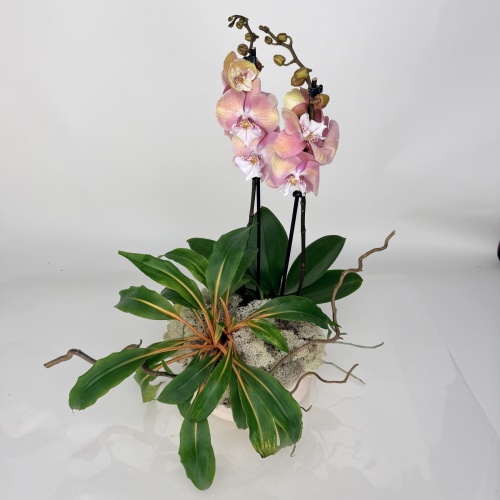 Букет №773944