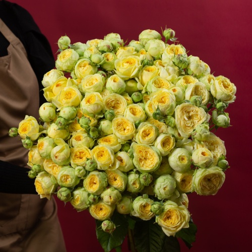 19 кустовых пионовидных желтых роз (Россия)