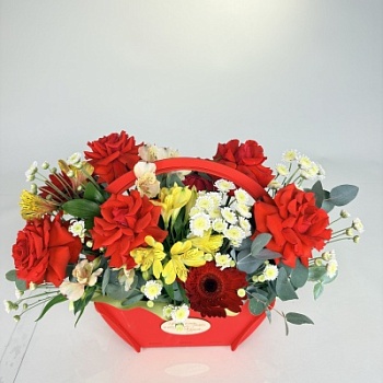 FullSizeRender (293)