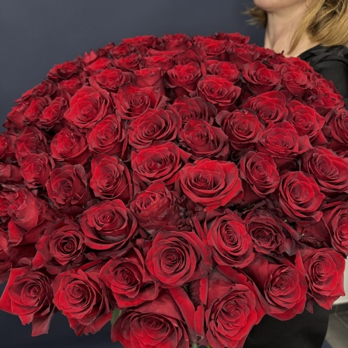 101 красная роза Эксплорер (Эквадор)