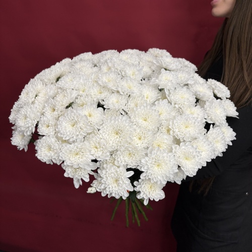 Букет из белых хризантем (25 шт.)