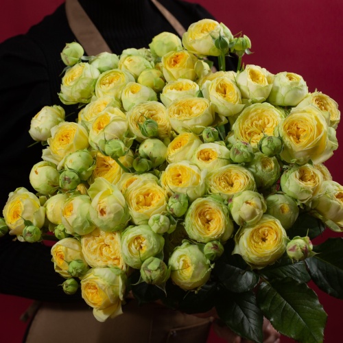 11 кустовых пионовидных желтых роз (Россия)