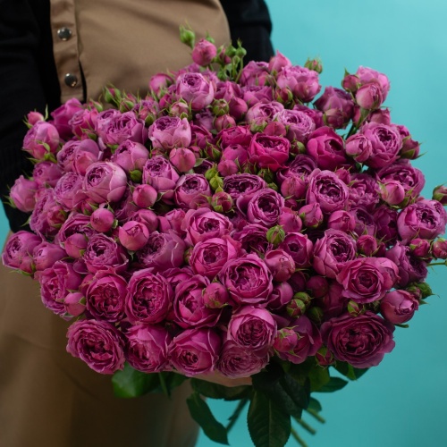 19 кустовых пионовидных фиолетовых роз (Россия)