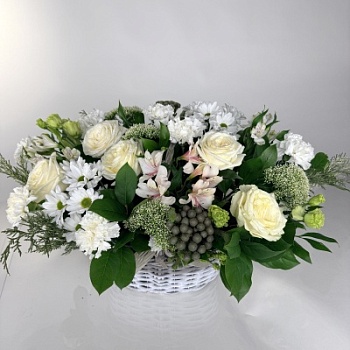 FullSizeRender - 2026-04-07T131557.671