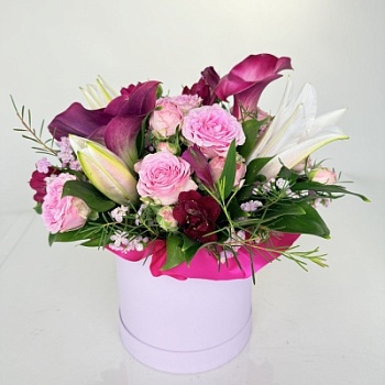 FullSizeRender (327)