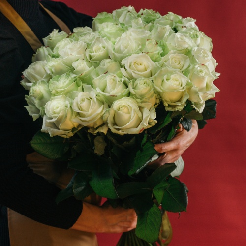 51 белая роза (Россия)