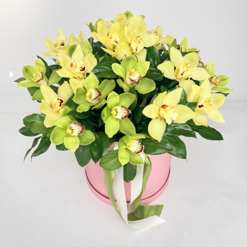 Композиция №866395