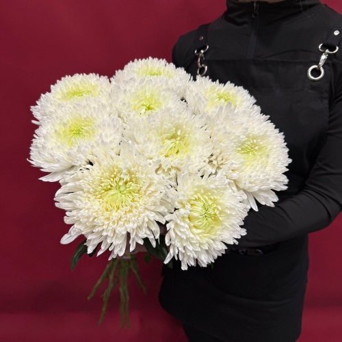 Букет из белых одноголовых хризантем (9 шт.)