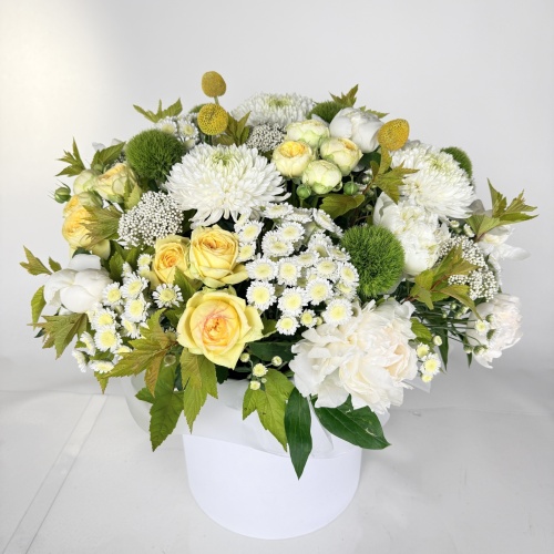 Композиция №829529