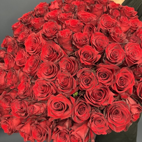 75 красных роз Эксплорер (Эквадор)