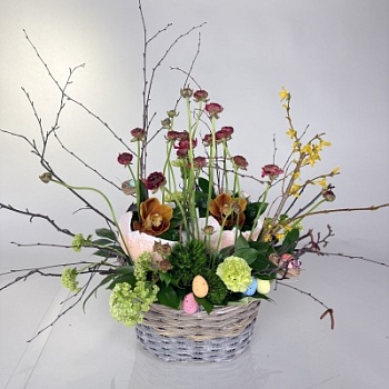 FullSizeRender - 2026-04-08T103143.910