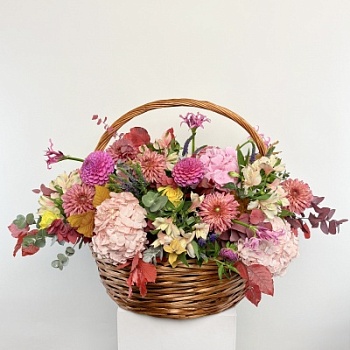 IMG_5087