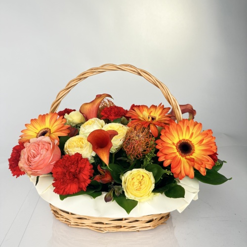 Корзина №816338