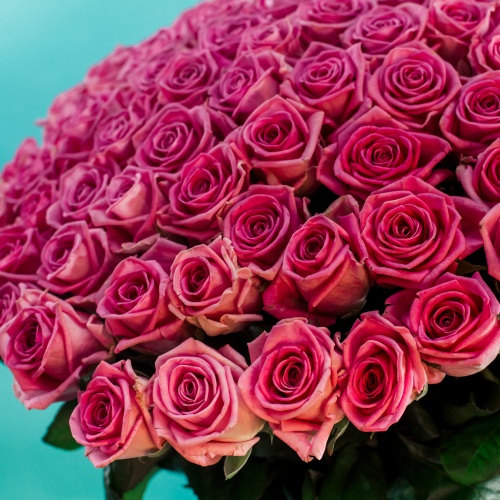 25 розовых роз (Россия)