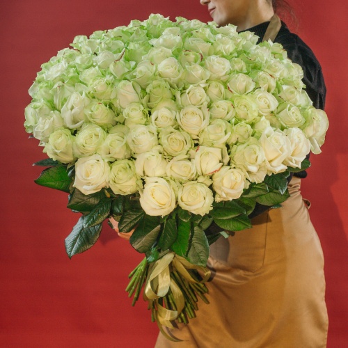 101 белая роза (Россия)