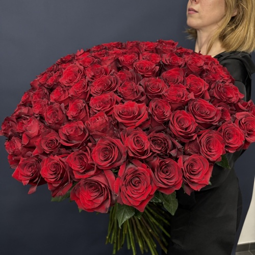 101 красная роза Эксплорер (Эквадор)